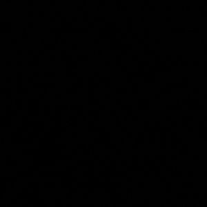 Meet your Posher, Joni